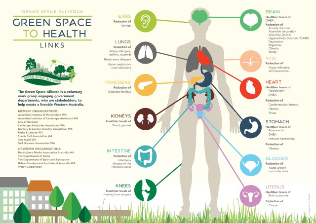 a3-health-infographicv2-landscape